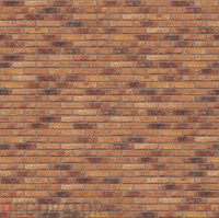 Primula (Vandersanden)