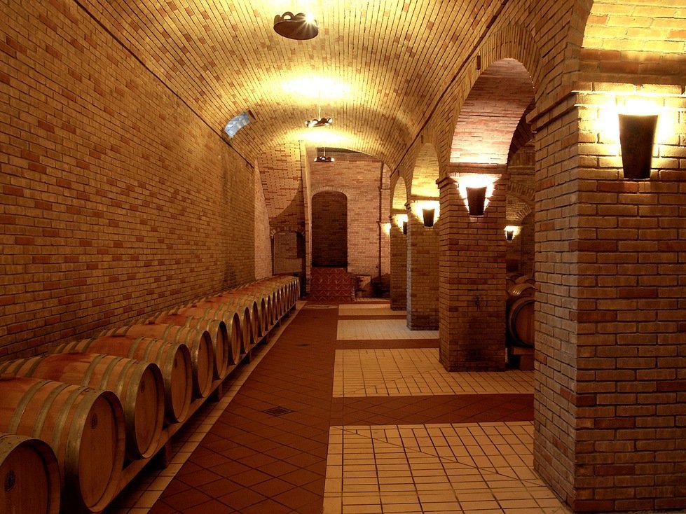 Укладка клинкера и камня в интерьере