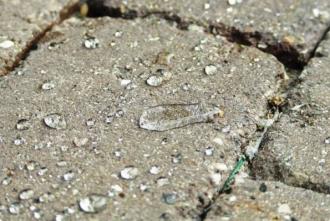 Гидрофобизатор